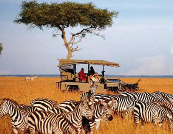 Kenya safari Package