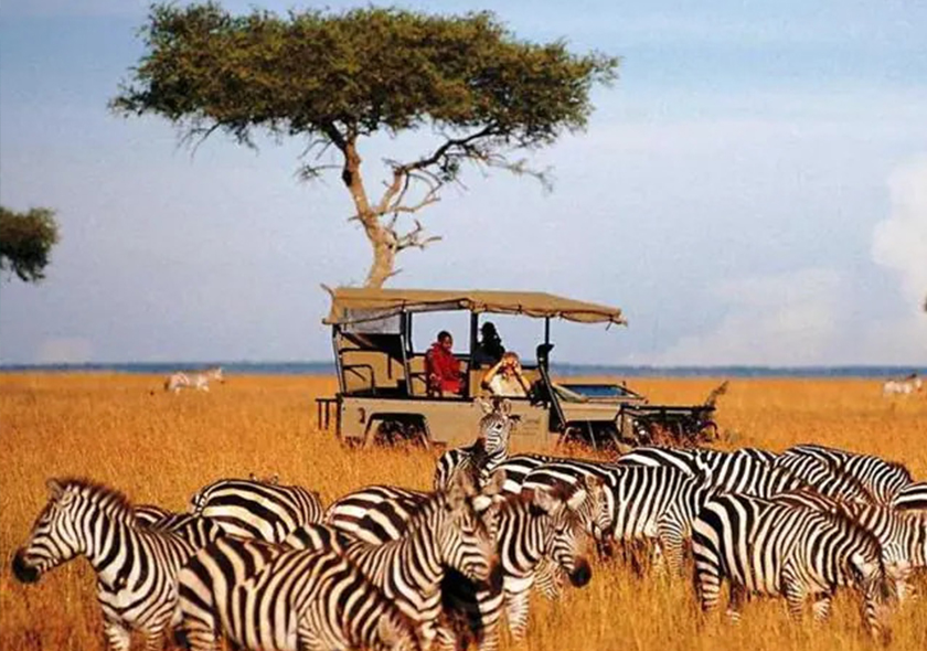 Kenya safari Package